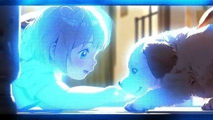 Pomeranian Cuteness Overload: Best Moments Compilation