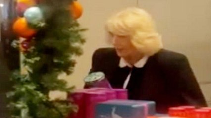 More tea Majesty? Queen spotted "Christmas shopping" at Fortnum & Mason