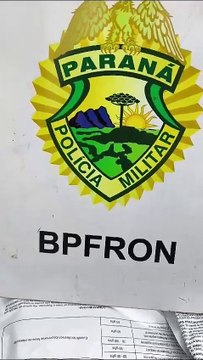 BPFron e Receita Federal apreendem quase R$ 500 mil em agrotóxicos, em Perobal