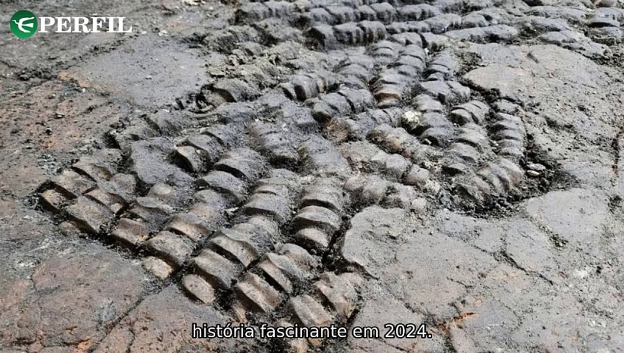 "Descobertas arqueológicas chocantes e filmes de guerra lideram ranking de streaming em 2024"