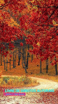 ✅💘Música relaxante Tai Chi Chuan- Fragmentos #21