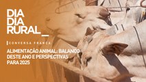 Alimentação animal: balanço deste ano e perspectivas para 2025