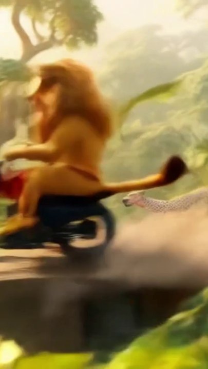 lion race funny video