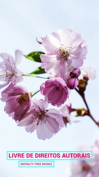 ✅💘Música instrumental de outono com som de piano para relaxamento profundo e meditação #Shorts