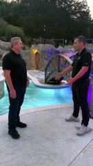 Transforming Backyards: Dave's Journey to a Personal Paradise 🌳