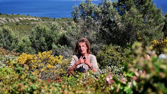 Tout est information Teaser (2) VF