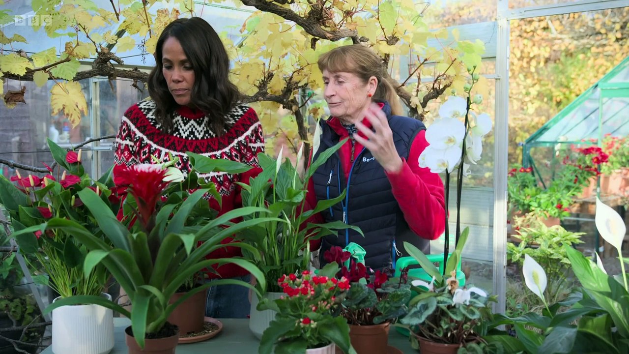 Craft Christmas at Beechgrove episode 4