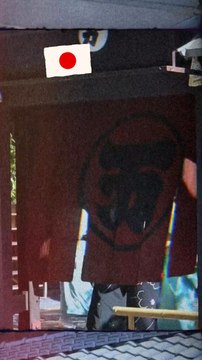 traditional JAPAN#oiran #花魁 #maiko #yūjo #遊女 #japan #geisha #舞妓 #芸者