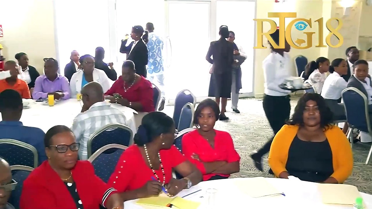 Ministère des Haïtiens Vivant à l'Etranger (MHAVE) òganize yon jounen ...