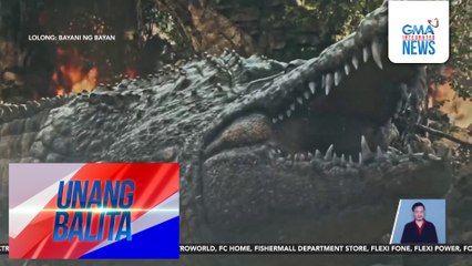 "Lolong: Bayani ng Bayan," mapapanood na ulit sa Philippine primetime sa January 2025 | Unang Balita