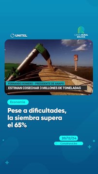Pese a dificultades, la siembra supera el 65%