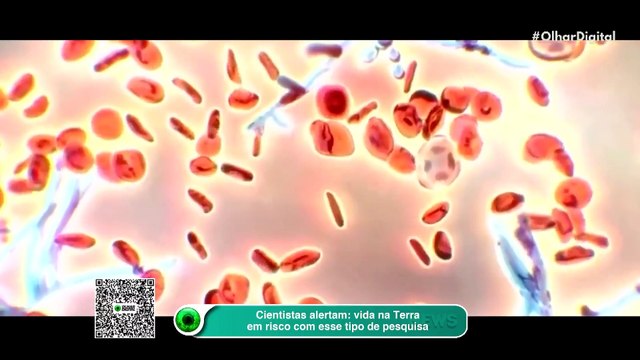 Cientistas alertam: vida na Terra em risco com esse tipo de pesquisa