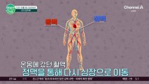 [닥터하우스] 다리가 아플 때 '하지 정맥류'를 의심하라! 심하면 사망에 이를 수도 있는 무서운 질환 #하지정맥류