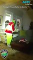 The Grinch caught by police trying to steal Christmas tree