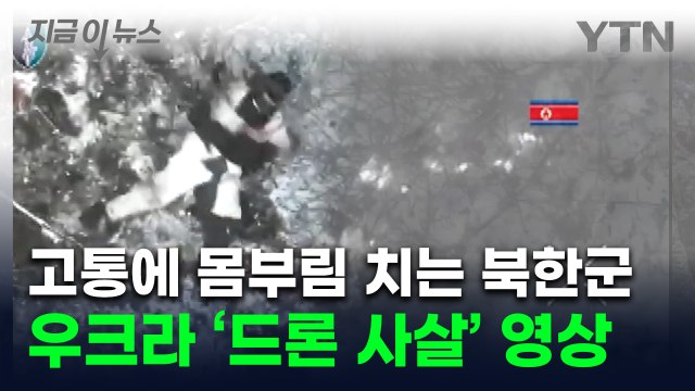 북한군, 숨을곳 없이 픽픽 쓰러져...우크라군 드론으로 12명 사살 [지금이뉴스] / YTN