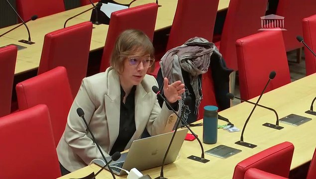 Violences commises dans les secteurs artistiques et médiatiques : M. Wajdi Mouawad, directeur du Théâtre de la Colline ; Audition de représentants de sociétés de production - Jeudi 19 décembre 2024