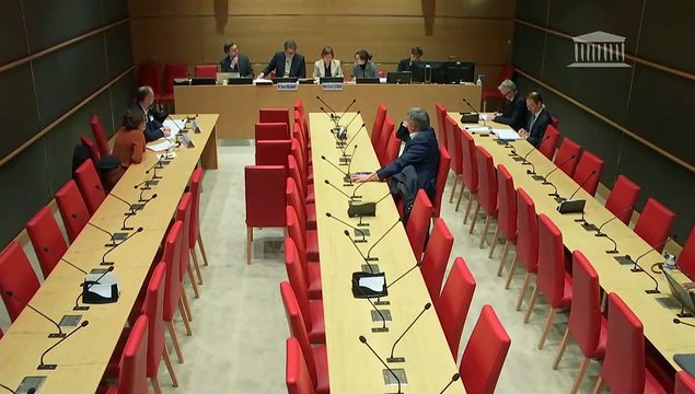 Violences commises dans les secteurs artistiques et médiatiques : Audition de représentants de La Maîtrise des Hauts-de-Seine ; Table ronde de directeurs de conservatoires - Jeudi 19 décembre 2024