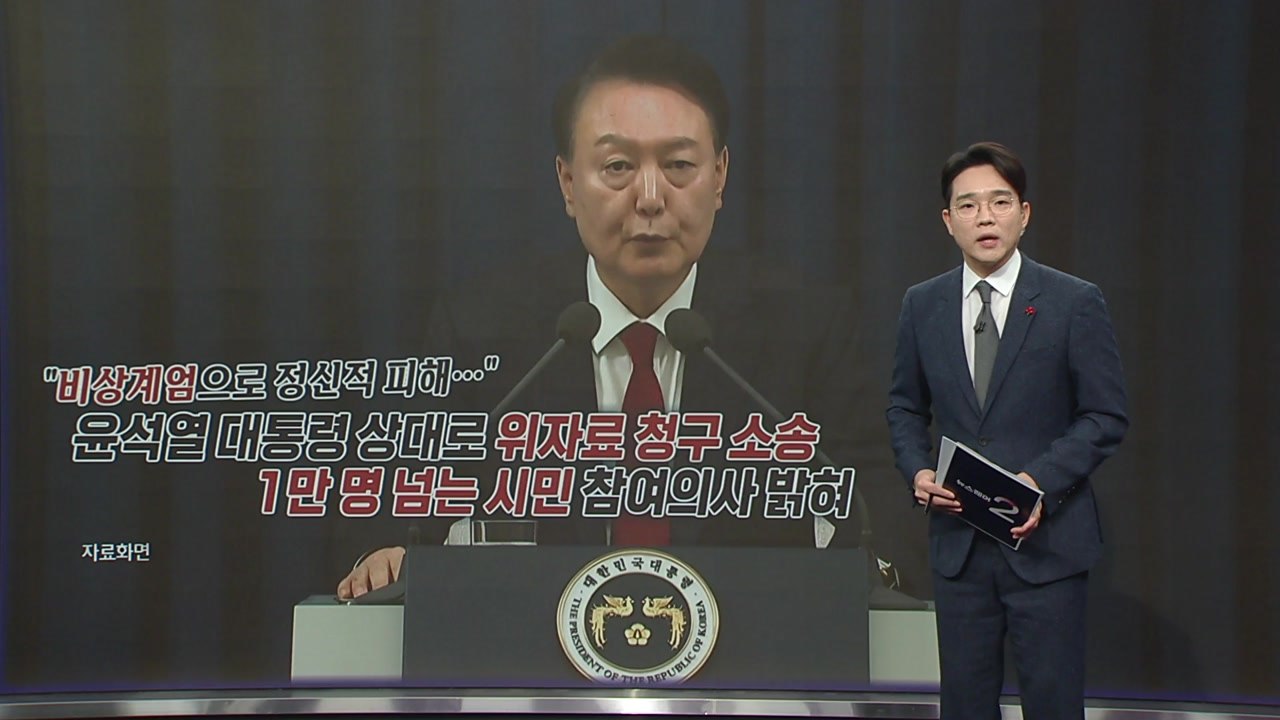 "비상계엄으로 정신적 피해..." 손해배상 받을 수 있을까? [앵커리포트] / YTN