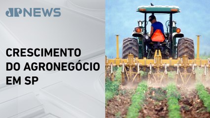 São Paulo lidera exportações agropecuárias no Brasil em 2024