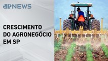 São Paulo lidera exportações agropecuárias no Brasil em 2024