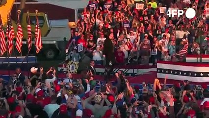 Trump stellt klar: Elon Musk wird nicht US-Präsident