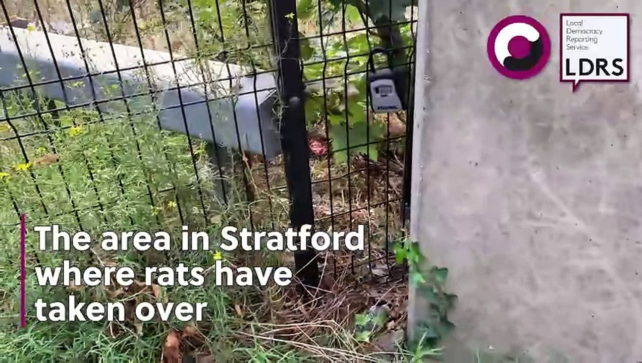The area in Stratford where rats have taken over