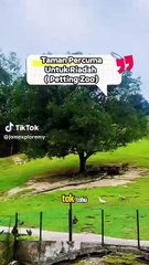 Hujung Minggu Seronok di Eco Community Park, Bukit Jelutong 🌳