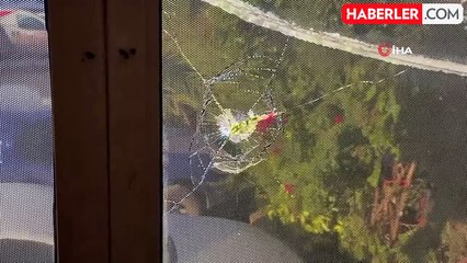 Antalya'da Kıraathaneye Silahlı Saldırı