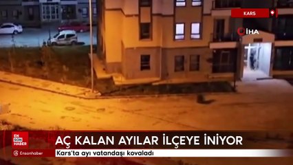 Kars'ta ayı vatandaşı kovaladı