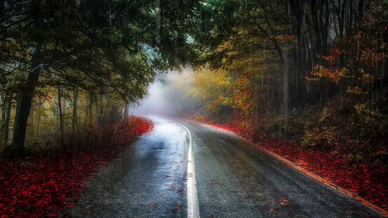 Quiet heaven place - Relaxing Sounds of Rain Falling Down the Empty Alleys, Puddles & Leaves - calm