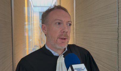 Interview de Maître David Mendel, avocat de M. Yves Michel