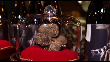 Gran Galà del Tartufo, a Bari celebrato il Re della cucina