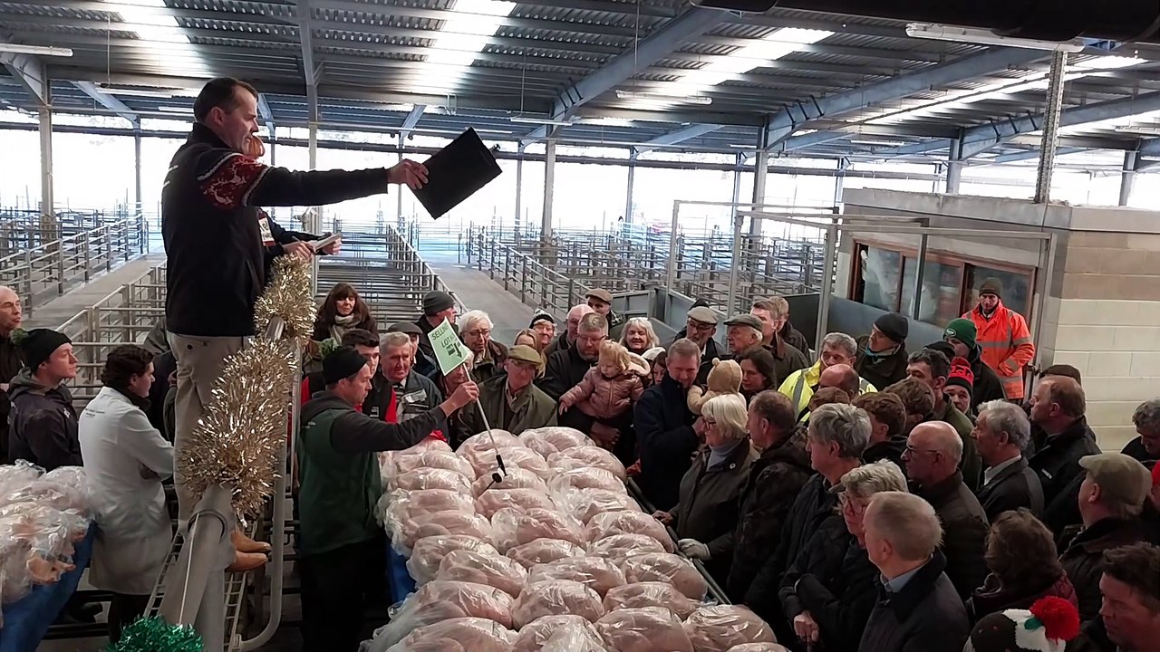 Turkey auction at Shrewsbury Auction Centre