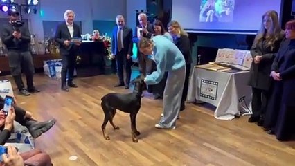 Platea gremita al lancio III? "Pet Carpet. Un riciclo da Oscar"