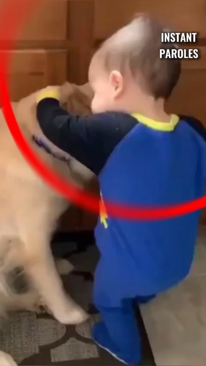 Ce chien câline ce petit garçon en retour