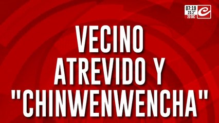 De no creer: quedó filmado mientras le robaba arena a su propio vecino
