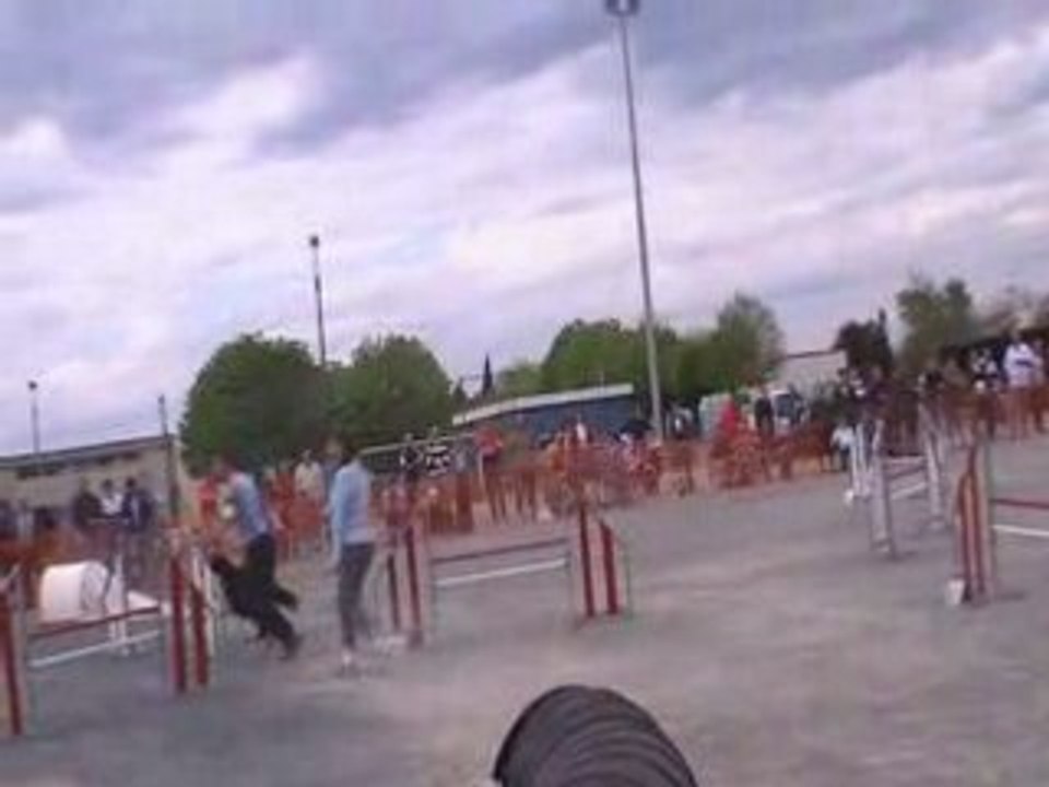 Tom-Pouce-jumping