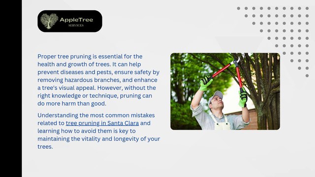 Common Tree Pruning Mistakes and How to Avoid Them
