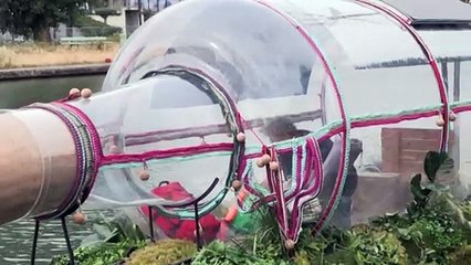 El 2024 y sus curiosidades