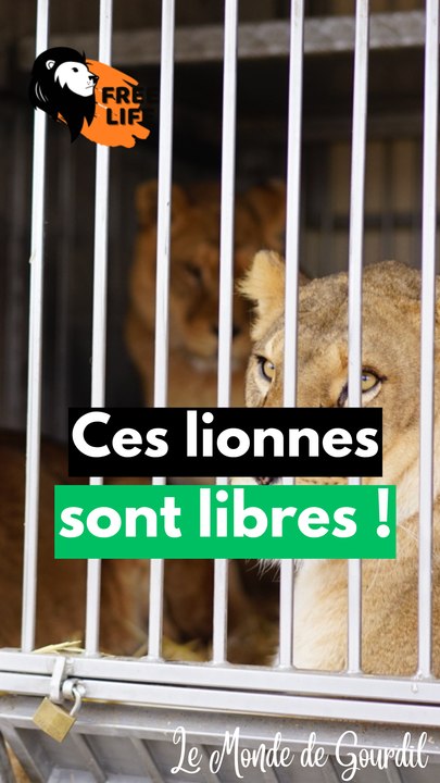 Ce bon goût de liberté !