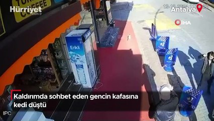 Kaldırımda sohbet eden gencin kafasına kedi düştü!