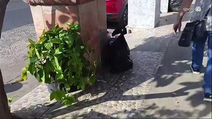 Persisten montañas de basura apiladas en calles de Guadalajara