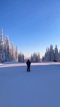LA SUISSE et ses paysages enneigés