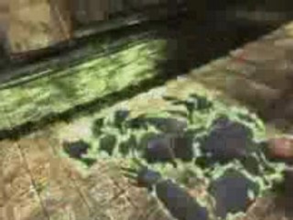 Unreal Tournament 3 - Trailer Gamer's Day - Xbox360/PS3