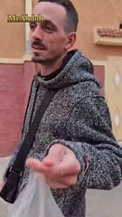 Feeding cats on the street with fresh fish in Morocco