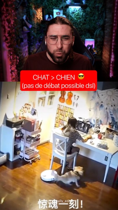 CHAT > CHIEN (pas de débat possible dsl) 😎