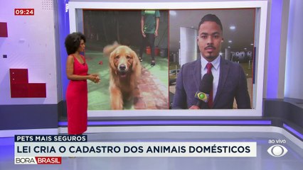 Lula sanciona lei que cria cadastro nacional de animais domésticos