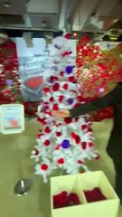 Poppies at Christmas