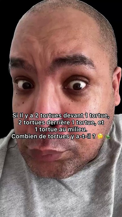 Si Il y a 2 tortues devant 1 tortue, 2 tortues derrière 1 tortue, et 1 tortue au milieu. Combien de tortues y a-t-il ? 🤔🐢