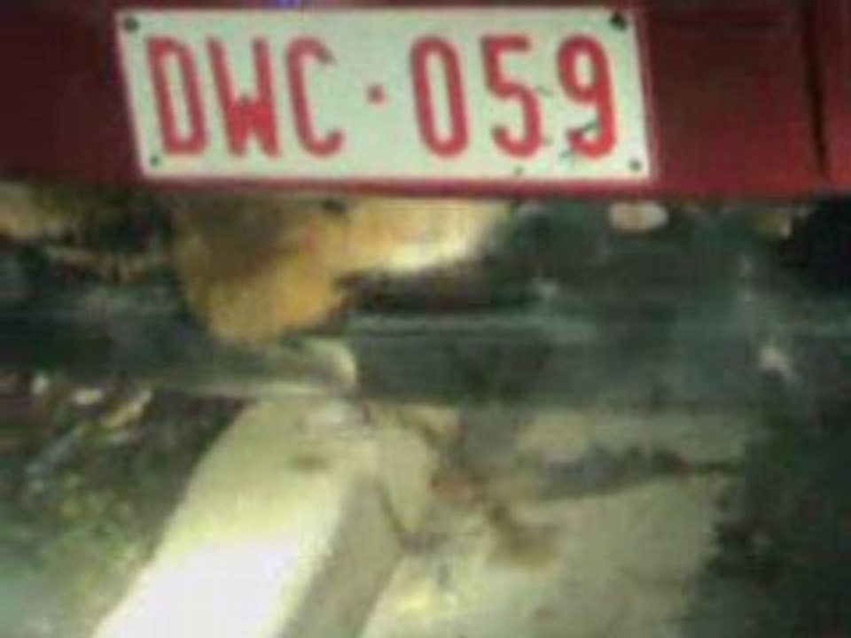RENARD DANS MA CAISSE!!!